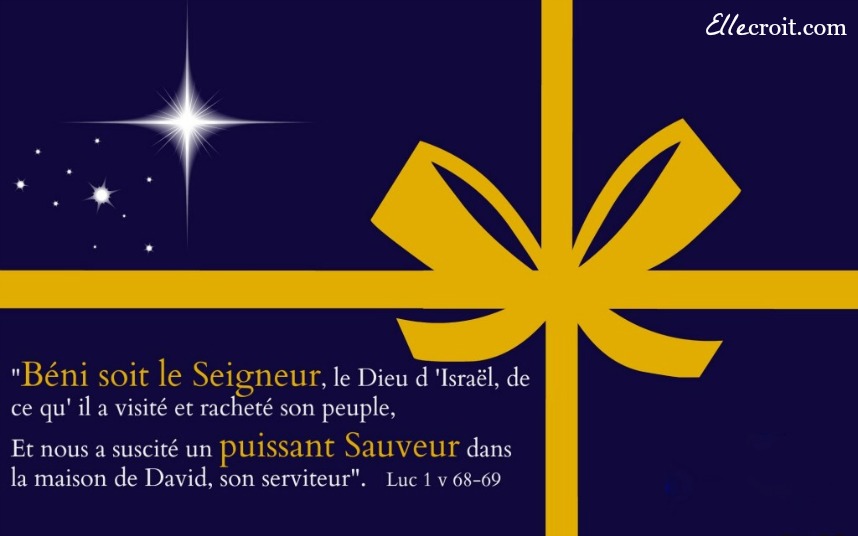 Christ redempteur luc 1.68 69