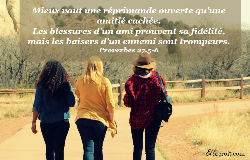 proverbes 27.5-6 amitié ellecroit.com